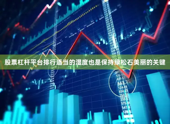股票杠杆平台排行适当的湿度也是保持绿松石美丽的关键